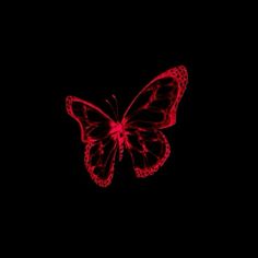 a red butterfly flying through the dark sky