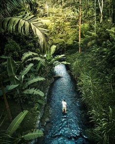 a man standing in the middle of a river surrounded by lush green trees and plants