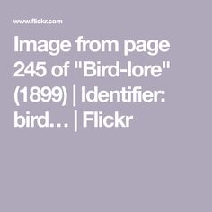 an image from page 24 of bird - loe 1897 identifier bird [ flickr ]