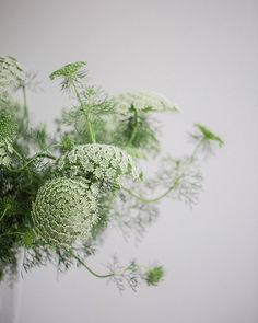 a vase filled with green flowers on top of a white table next to a wall