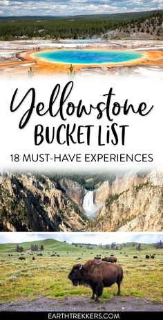 yellowstone bucket list with bison and mountains in the background