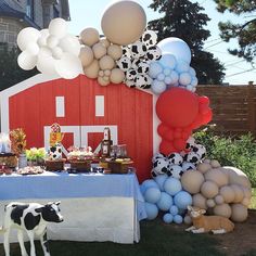 a table topped with balloons next to a red barn and a white cow standing in front of it