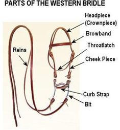 the parts of a western bridle and how they are used to make it