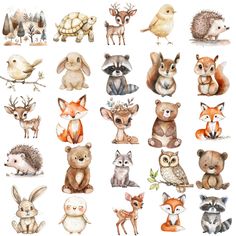 an image of many animals that are in watercolor and ink on white paper,