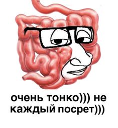 an image of a man's face with glasses in the shape of a stomach