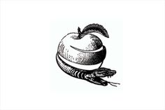 an apple with a worm on it's side and the words, i am not sure