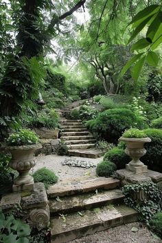 an outdoor garden with stone steps and plants