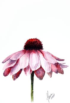 a watercolor painting of a pink flower