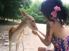 a woman in a dress feeding a deer with her hand at the zoo, while wearing a pink bow