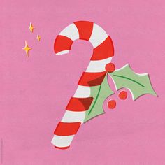 a candy cane with holly berry and star on pink background