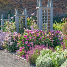 a garden filled with lots of flowers next to a brick wall