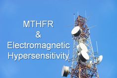 If you have MTHFR deficiency you could have electromagnetic hypersensitivity. Those with mthfr gene mutations are more exposed to EMF than other people. Mthfr Diet, Mountain People, Low Estrogen Symptoms, Low Histamine Diet, Low Estrogen