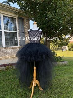 Dear customers, current processing time is 3-5 business days, if you need your order to arrive faster you can upgrade shipping at checkout Welcome to Little Dreams by Mayra Tutu dress are fun and easy to match with any accessory so I am offering this plain tutu dress, its available in any color, any size! *If you need a color combination just send me a message at checkout you will select the longer Lenght of the dress from armpit to floor, this length will be in the back and will go shorter from Birthday Tutu Dress, Gold Tutu, Princess Tutu Dress, Toddler Tutu, Girl Tutu, Birthday Party Outfits, Princess Tutu, Baby Tutu, Dress Birthday