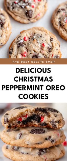 Image for Delicious Christmas Peppermint Oreo Cookies Peppermint Cookies And Cream Cookies, Ritz Peppermint Cookies, Candy Cane Oreo Cookie Bars, Christmas Cookies Andes Mint, Best Easiest Christmas Cookies, Cadbury Christmas Cookies, Peppermint Oreo Bark, Deserts Recipes Peppermint, White Choc Peppermint Cookies