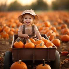 Pumpkin Patch 1 Year Pictures, Pumpkin Kids Photoshoot, Boy Fall Photo Shoot Ideas, Toddler Fall Picture Ideas, Pumpkin Patch Minis, Pumpkin Patch Kids Photoshoot, Pumpkin Photoshoot Kids, Toddler Pumpkin Patch Photos, Pumpkin Patch Mini Session