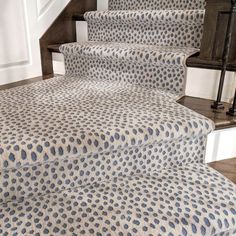 a set of stairs with blue and white patterned carpet