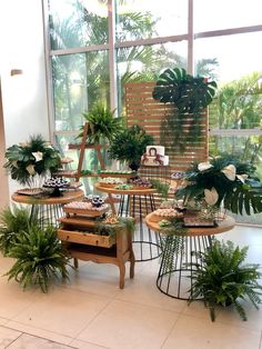 several tables with plants on them in front of a large window and some potted plants