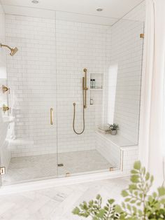 a white tiled bathroom with gold fixtures and glass shower door, along with a plant in the corner