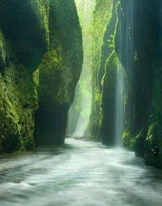 a narrow road surrounded by mossy rocks and trees with a waterfall coming out of the middle