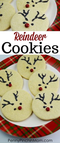 reindeer cookies on a plate with the words reindeer cookies