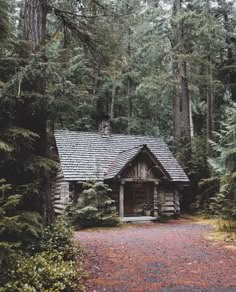 an old log cabin in the woods surrounded by tall trees and greenery, with a gravel path leading to it