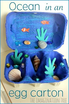 an open blue box filled with seashells and other sea creatures on top of a white counter