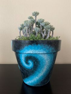 a potted plant sitting on top of a wooden table