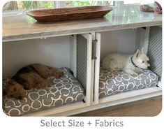 two dogs are laying on their beds in the dog bed shelving unit that is built into the wall