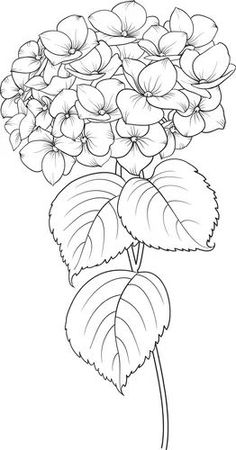 a drawing of a flower with leaves