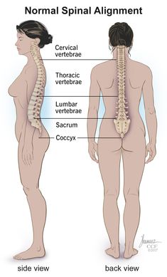 the back and side view of a woman's body, with her skeleton visible