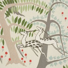 two giraffes in a tree with red flowers