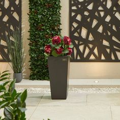 a planter filled with red flowers sitting next to a wall covered in greenery