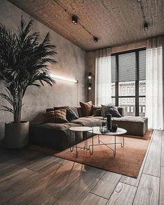 a living room with a couch, coffee table and potted plant in the corner