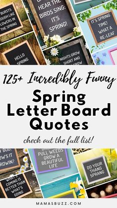 spring letter board quotes Letter Board Quotes Short, Positive Quote Wallpapers, Classroom Letter Board, Spring Jokes, Spring Funny, Season Quotes