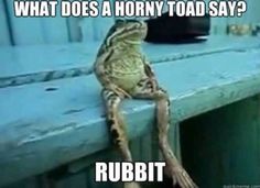 a frog sitting on top of a wooden bench with the caption just waiting for the bus cause my car got toad