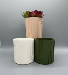 three different colored vases with flowers in them