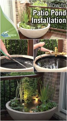 an outdoor fountain with plants in it and water flowing from the bowl to the ground