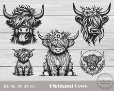 three horned animals with flowers on their heads and the words highland cows in black ink