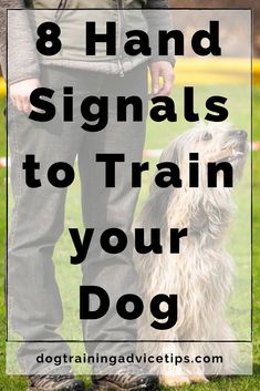 a man standing next to his dog with the words 8 hand signals to train your dog