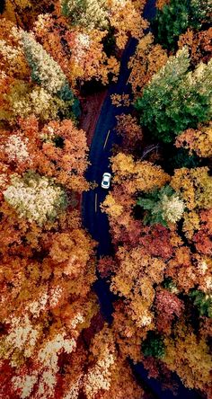 an aerial view of a car driving down a road surrounded by trees in the fall