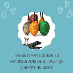 the ultimate guide to thanksgiving dog toys for a happy holidays greeting card with three dogs