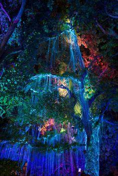 an illuminated waterfall in the middle of a forest with trees and lights hanging from it's sides