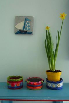 three potted plants sitting on top of a blue table in front of a white wall