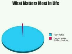 pie chart with what matters most in life and harry potter water, food, etc