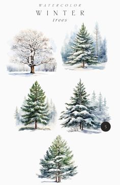 watercolor winter trees are shown in four different colors and sizes, with the words winter on