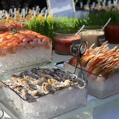 there are many different foods on display in the glass trays, including shrimp and oysters