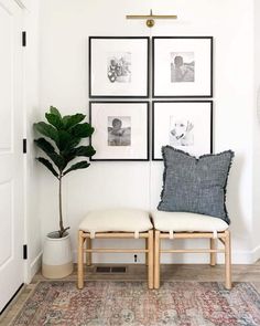 a white room with pictures on the wall and a bench next to a potted plant