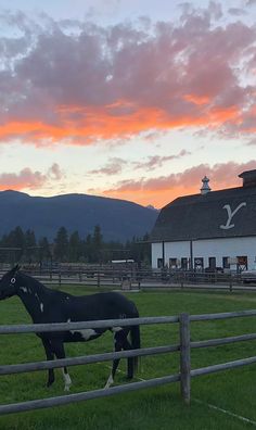 Horse Ranch Aesthetic, Ranch Life Country Living, Montana Core, Montana Ranch House, Wyoming Summer, Indigo Ridge, Montana Aesthetic, Wyoming Ranch