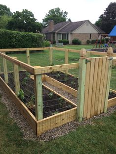 a wooden fenced in garden area with plants growing inside the fence and on the ground