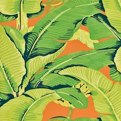 an orange and green wallpaper with lots of leafy plants in the foreground